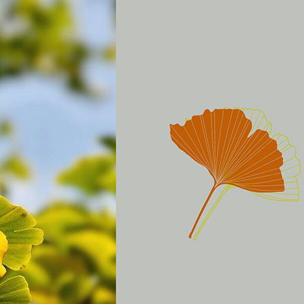 枸杞vi設(shè)計(jì)公司