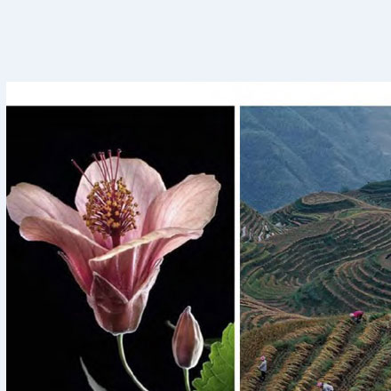 vi設(shè)計(jì)公司差異化競(jìng)爭(zhēng)