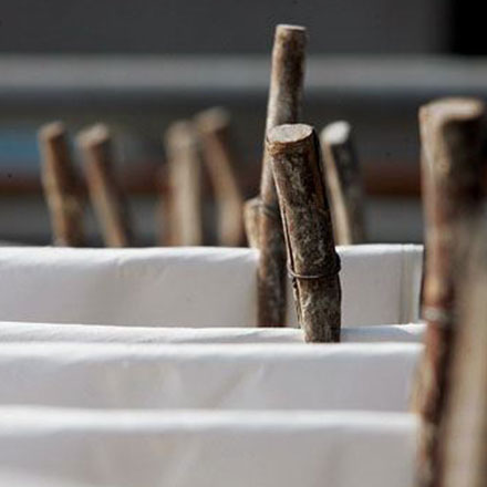 公司整體標準化vi設(shè)計一期