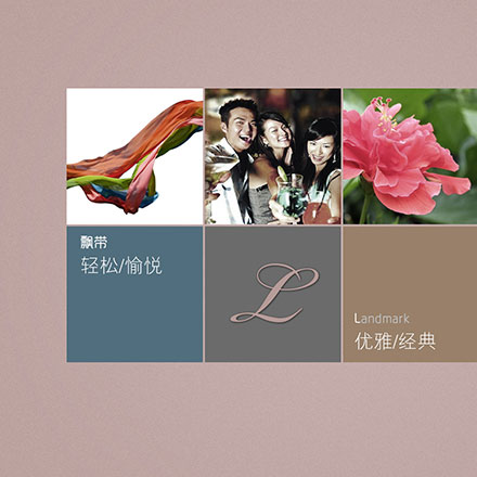 雷嶺母嬰行業(yè)公司vi設計模板