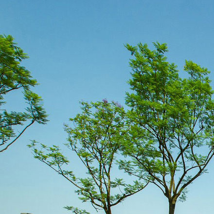 深圳品牌設(shè)計(jì)作品案例展示