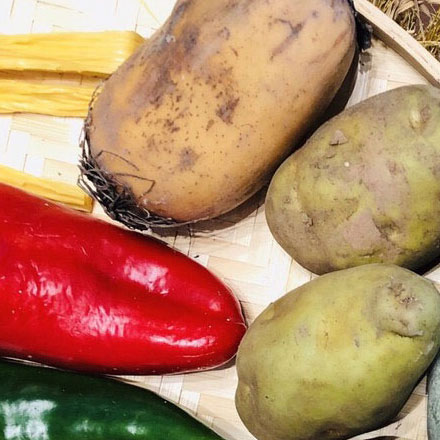 深圳品牌設(shè)計(jì)作品案例展示